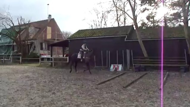 air de famille barres au sol (2) janv 2014