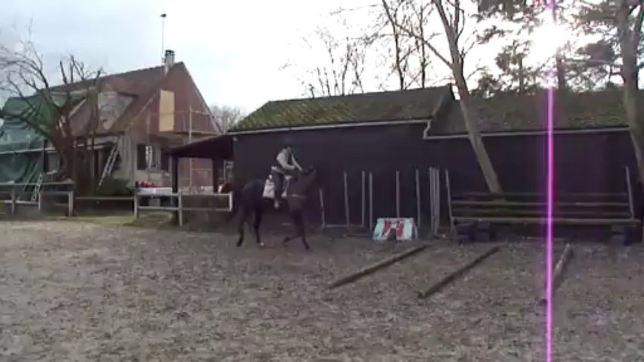 air de famille barres au sol (2) janv 2014