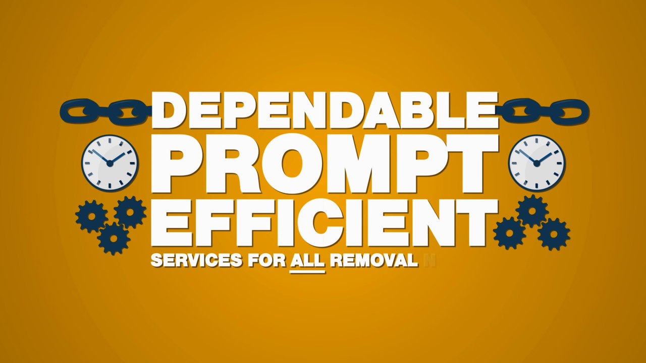 1 Van 1 Man Removals - Man and Van York - Moving Company