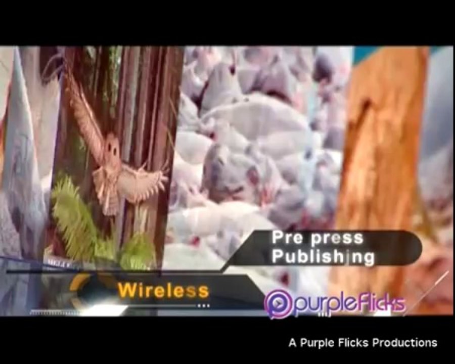 Corporate video Production for Mindfire Solutions