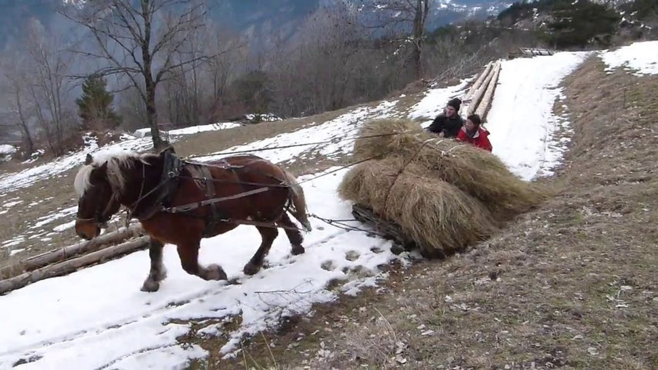 Harnais chevilatte + option "Bas-Cul" ou palonnier "porté" (partie1)