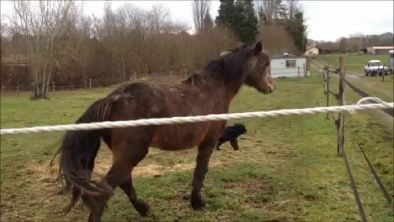 video 15 janvier 2014