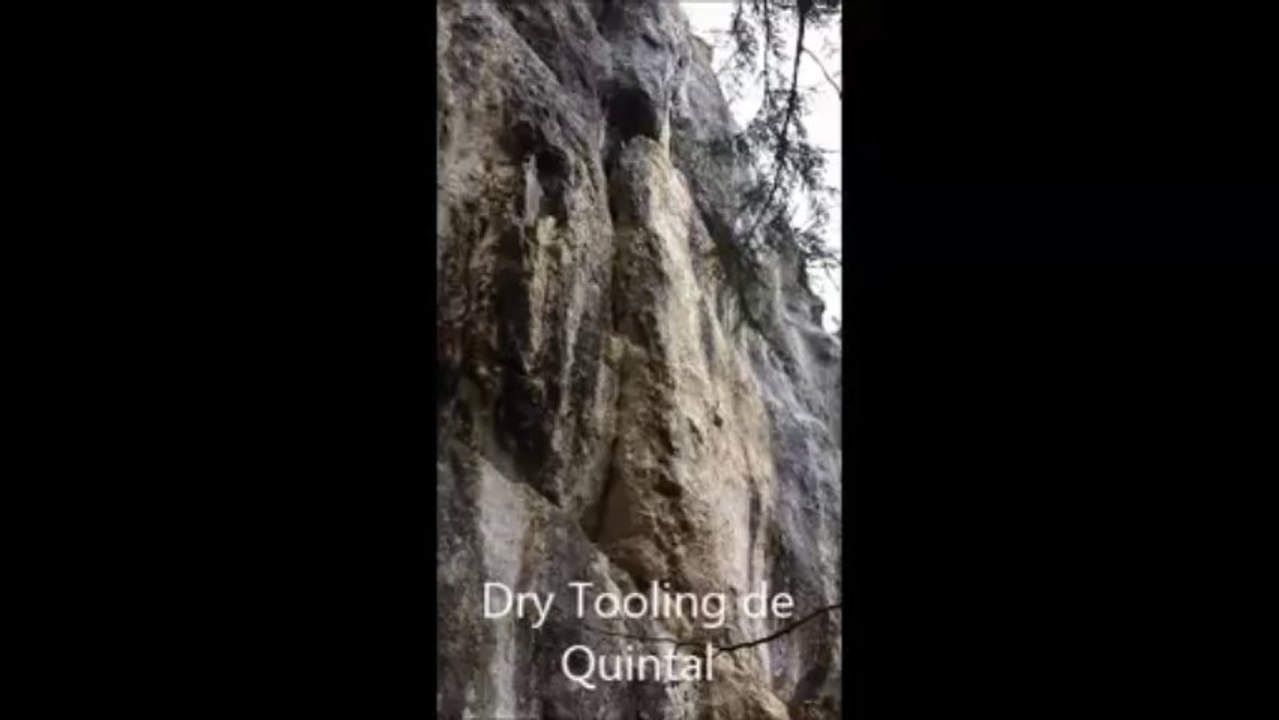 Fissure D6 à Quintal