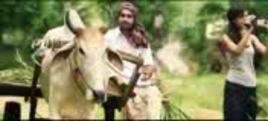 fast love vashikaran specialist 9815432022