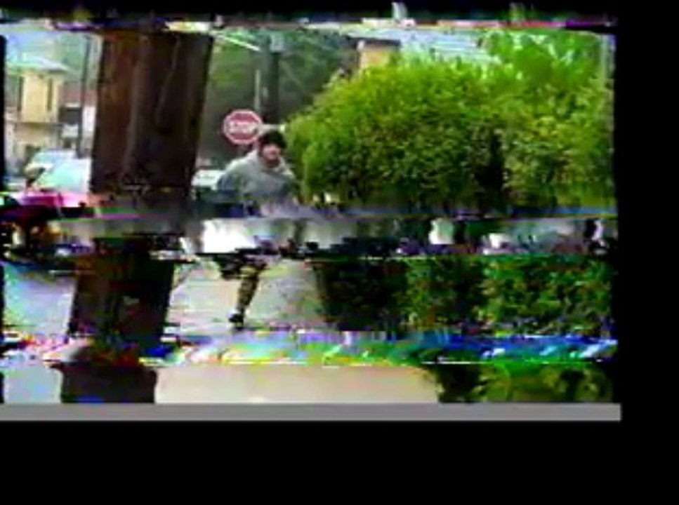 RickyTrailer1JON
