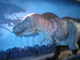 Dinosaurs: Ancient Reptiles of the Past 🦖