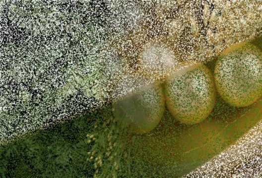 cài đặt WIFI quận 1 , lắp đặt WIFI tại nhà quận 1 - gọi 0937851808 A.Tú