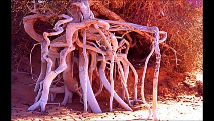 Limelight de Camille Arman 17 01 14