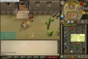 GameTag.com - Buy Sell Accounts - Selling Runescape Account Level 118 for a 10th Pres Lobby(2)