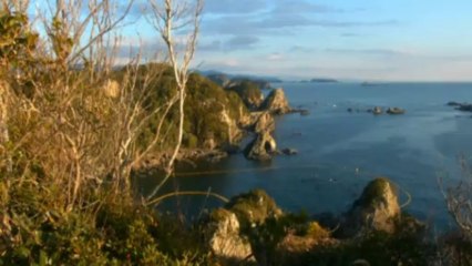 Shocking footage of dolphin slaughter in Taiji Cove