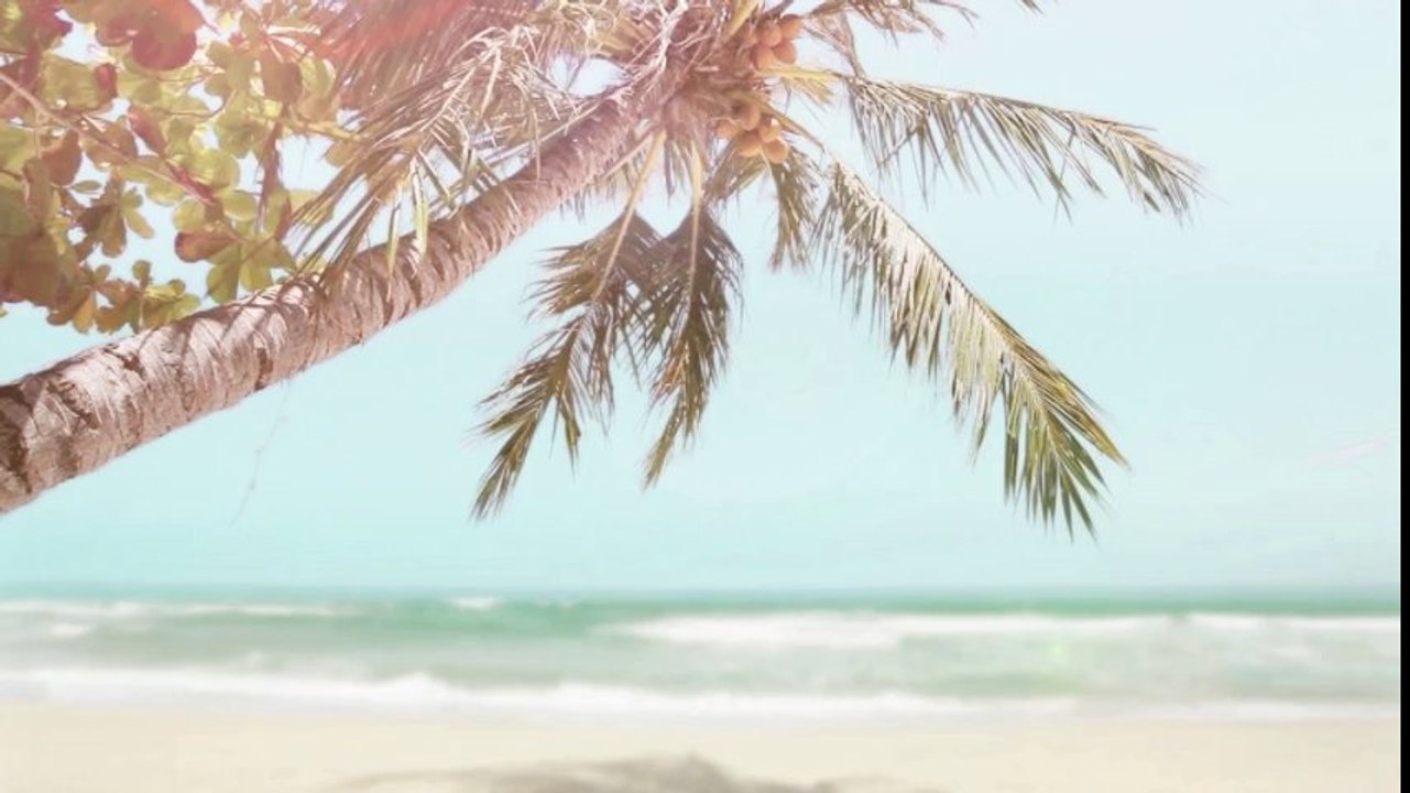 Ice Ball Mold - Produce Perfect  Ice Spheres For Your Drinks