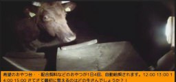 2014-01-20 17-22 牧場三号機　体格の良いネズミちゃん(^_^;