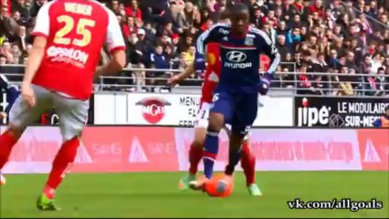 Ligue 1 - Week 21 - Top goals - 2013-2014