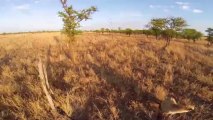 African savana filmed with a quadricopter and GoPro Camera! Crazy and beautiful