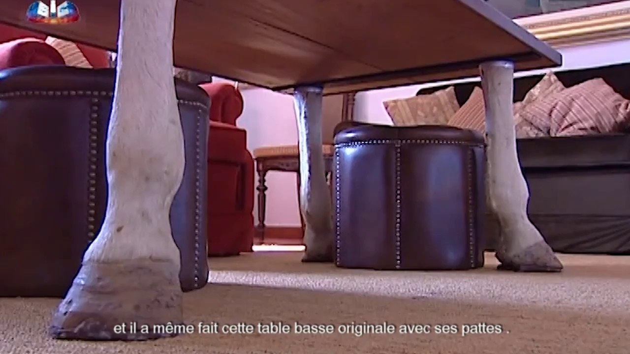 Reportage sur la corrida portugaise