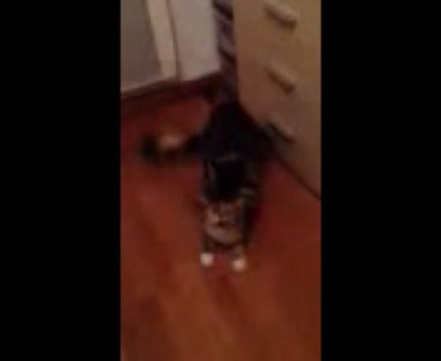 MOV_5358