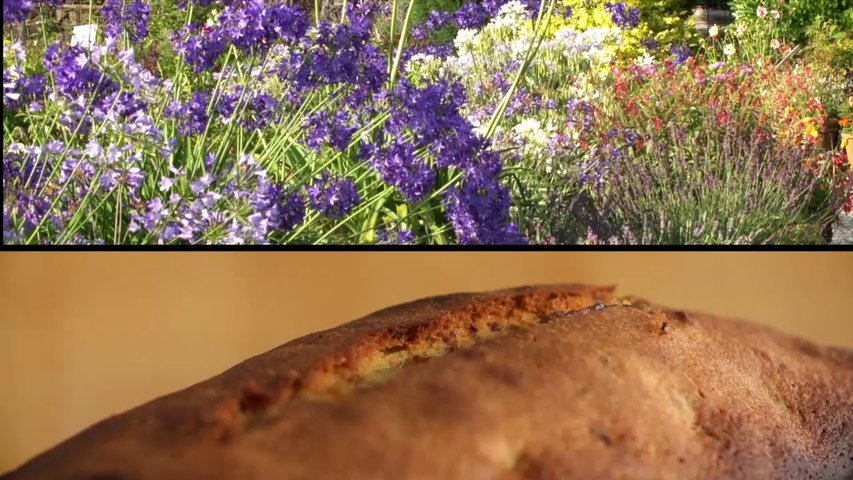 Bien planter avec Globe Planter