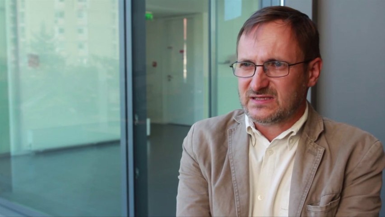 Master Stratégies d'aménagement des villes petites et moyennes et de leurs territoires / Sébastien Faucon