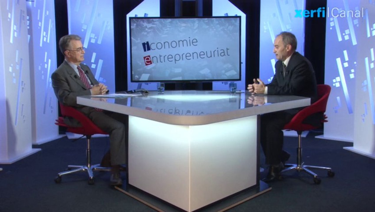 Dominique Sutra del Galy, Xerfi Canal Ingénierie : le défi de l'informatisation et du numérique