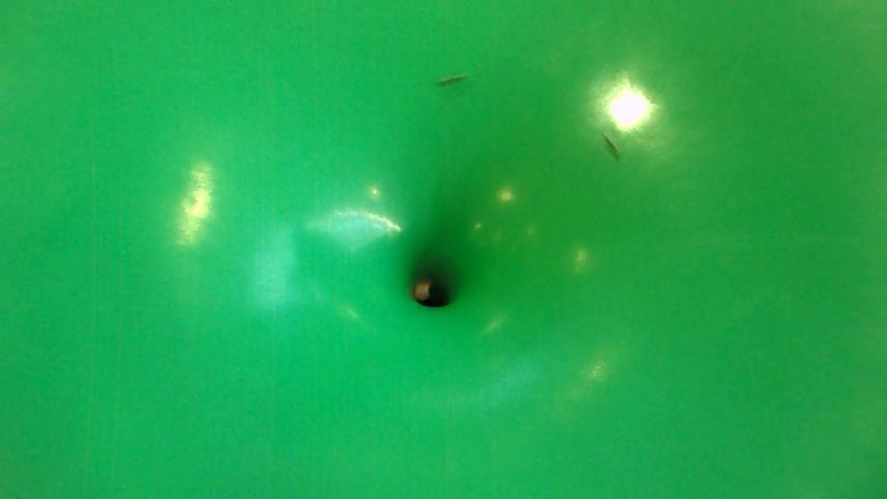 Down the Elephant Hole