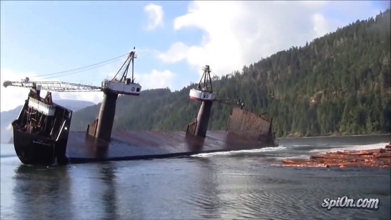 Cargo Ship Tips Over To Dump Lumber Vidéo Dailymotion