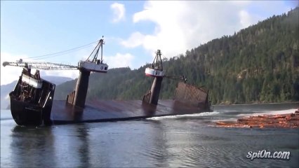 Cargo Ship Tips Over To Dump Lumber