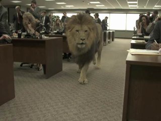 The Wolf of Wall Street - VFX Breakdown by Brainstorm Digital