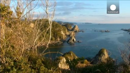 La embajadora de EE.UU. en Japón se suma a las denuncias por la caza de delfines