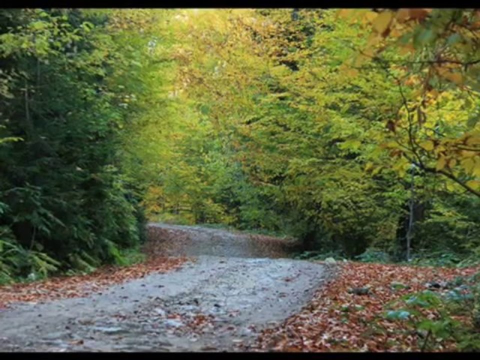 Geldi yayla zamanı ( Erol Şahin ) 2013