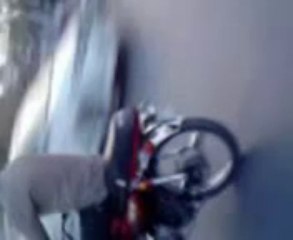 Wheeler: Key Insights and Overview