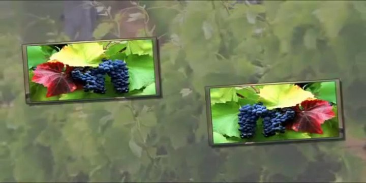 Türkü Finike - Antalya .. Hale Gür ... Ötmede Dugguk Ötme Bağrım Eziktir