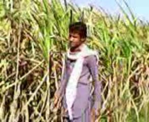 Naseeb Ahmed Khan Jatoi: Key Figure