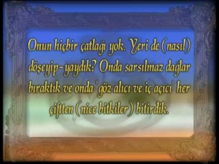 Konuşan kuşlar mucizesi (Bazı kuşlar zekaları, çeşitli kabiliyetleri ile dikkat çekerler)