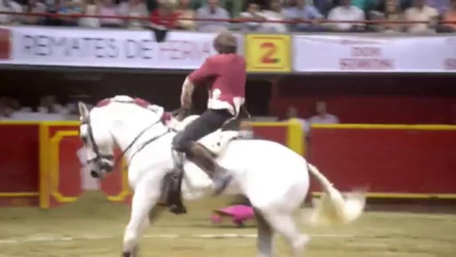 Espanhol mata dois touros e vence tourada