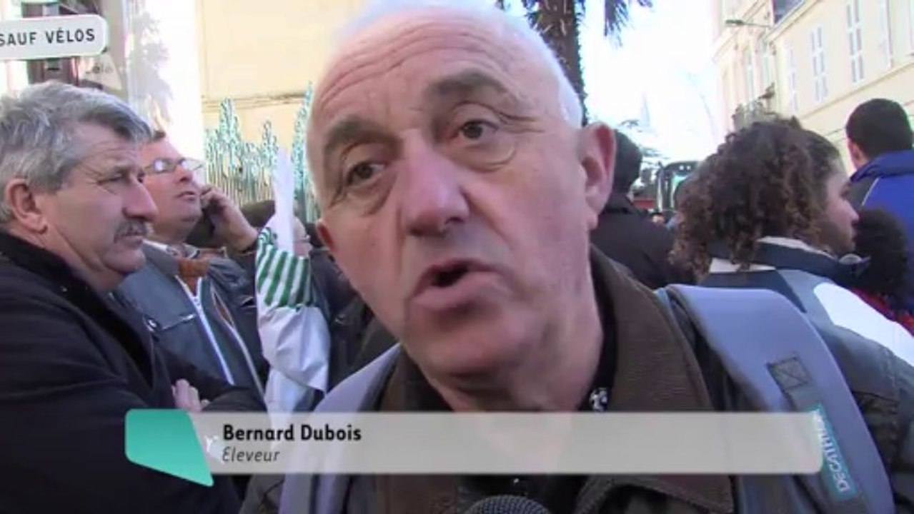 Célà tv Le JT - Les agriculteurs manifestent contre la directive nitrates