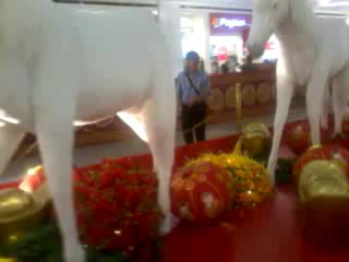FENG SHUI WILLY GO. ANG IS DOING EVENT IN SM SAN LAZARO MANILA