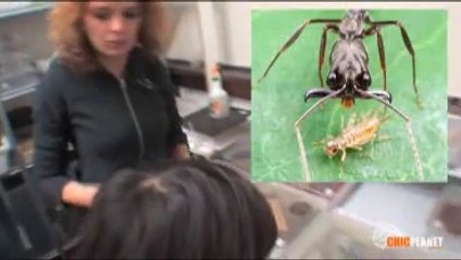 FOURMIS - 2eme Rencontre avec Audrey Dussutour **