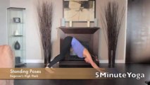 5 Minute Yoga - Beginner's High Plank