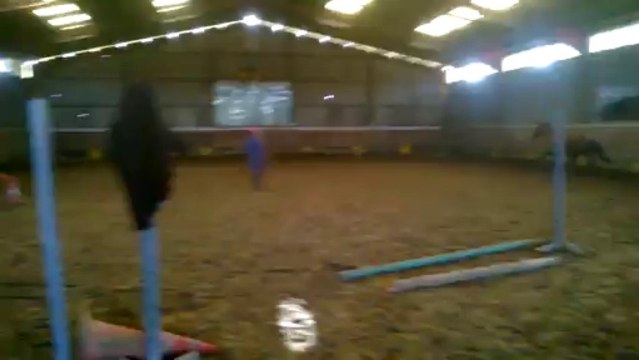 Aqualika : séance obstacle en liberté Décembre 2013 .