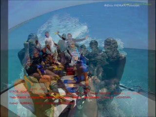 Stage "Immersion avec les dauphins" - Hurghada Décembre 2013