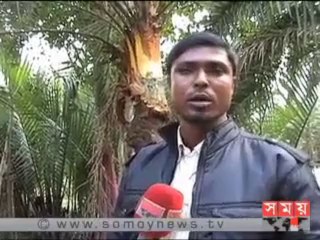 বরগুনায় সংরক্ষিত বনের গাছ উধাও