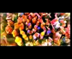 totka for business 9815432022