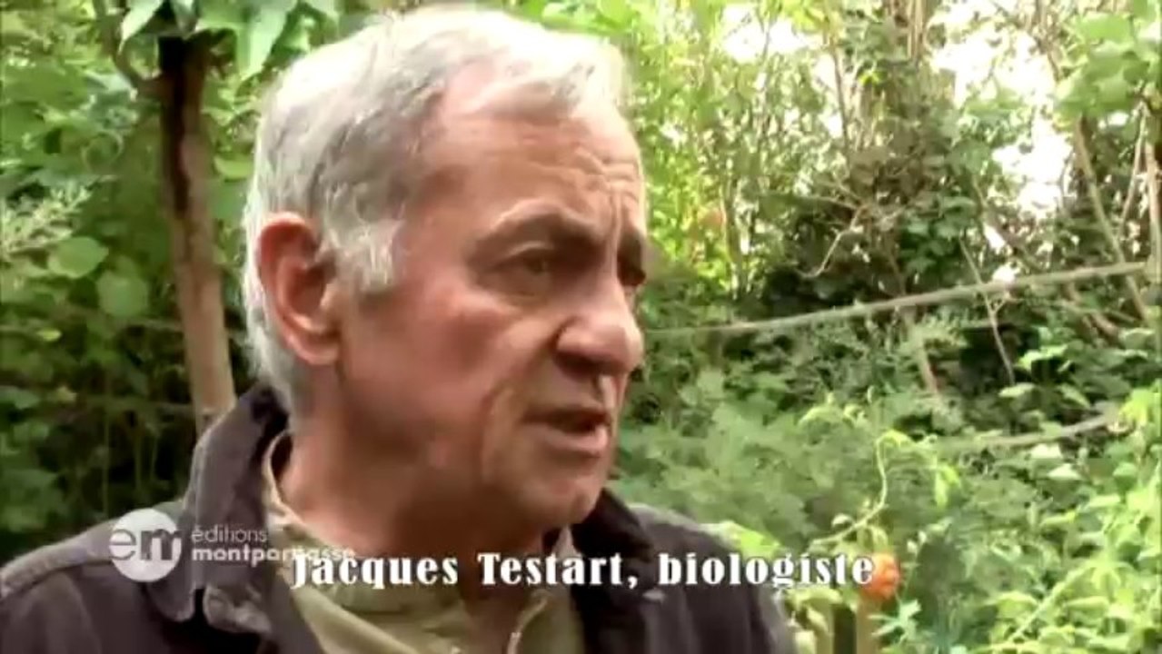 Sous les pavés, la terre