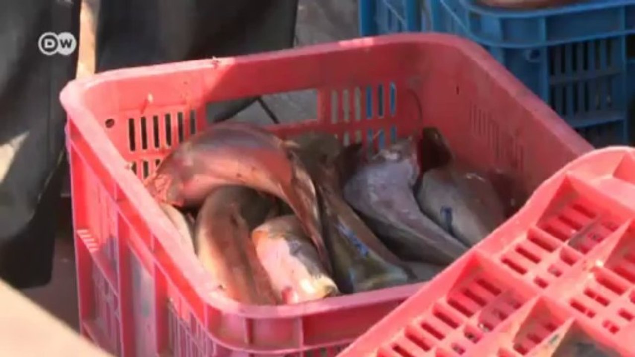 Äthiopiens Tanasee schützen  | Global Ideas