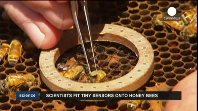 Terapia genética para curar enfermedades oculares