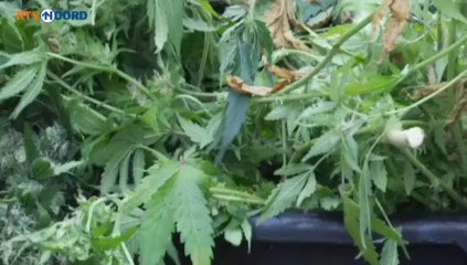 Twee hennepkwekerijen opgerold in Oude Pekela - RTV Noord