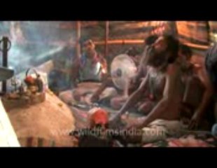 Voodoo Love Spells Specialist +9815432022