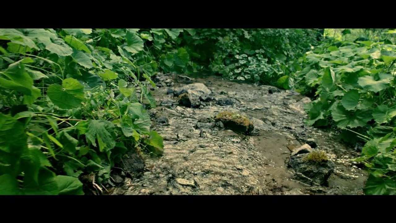 MINUSCULE - Extrait 1