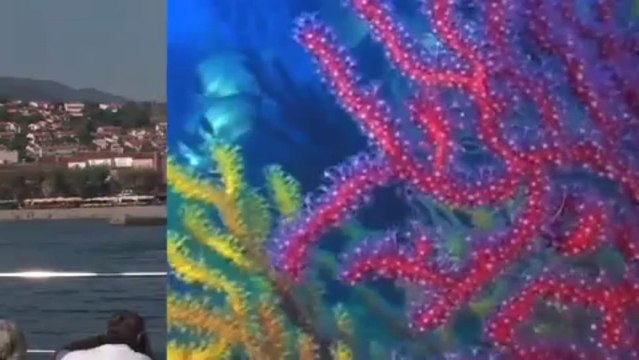 Tourisme d'Affaires à Canet en Roussillon. #ILoveCanet