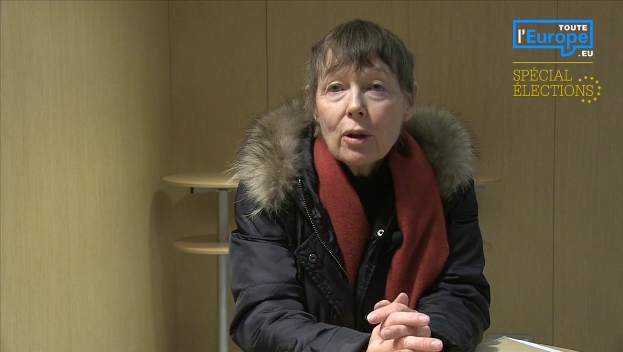 Nonna Mayer : "Les partis de droite extrême sont encore les derniers à vendre du rêve"